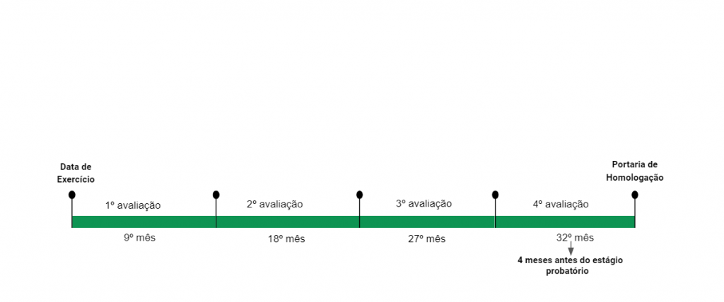 12nd Relatório semestral de processo — Ministério da Economia